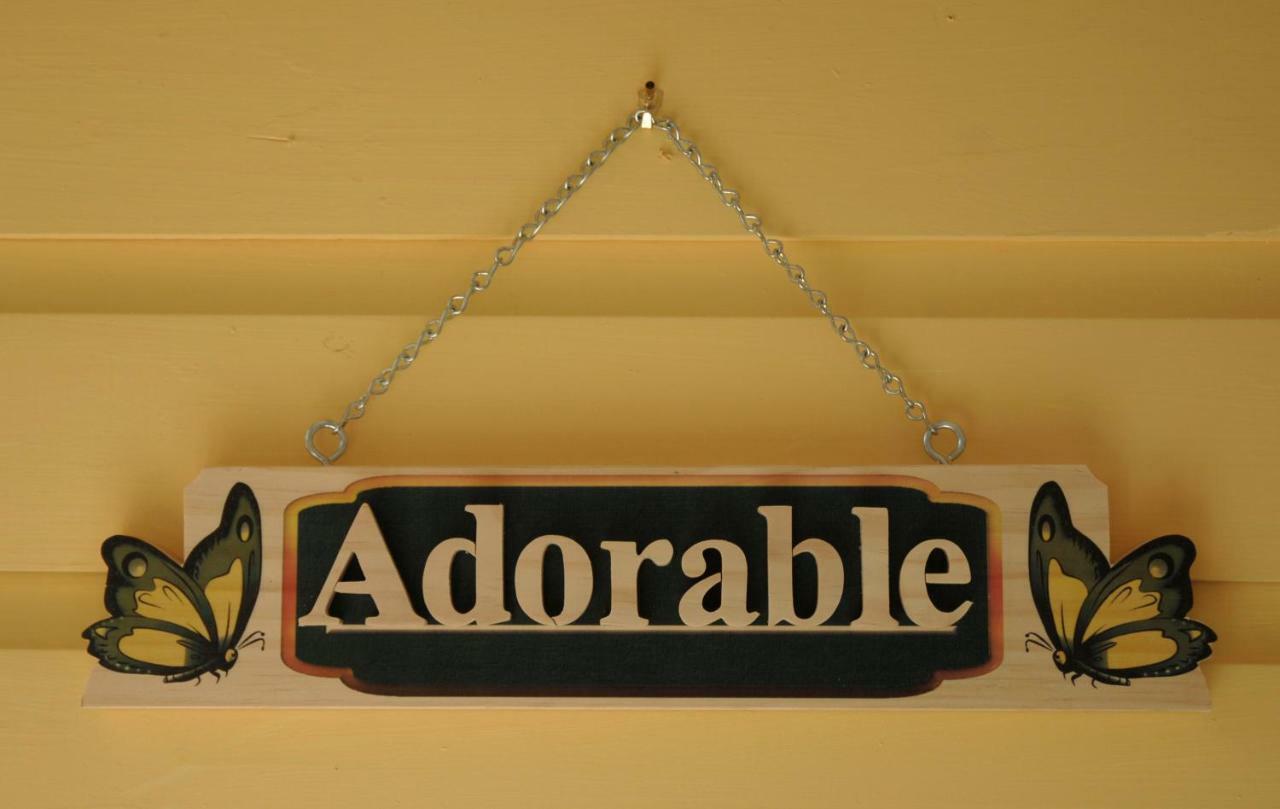 Adorable Historic Downtown Apartment Saint Augustine Eksteriør billede